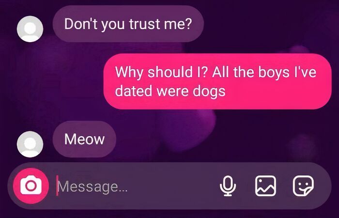 A funny text exchange where one person says, "Don't you trust me?" and the other replies, "Why should I? All the boys I've dated were dogs," followed by a "Meow."