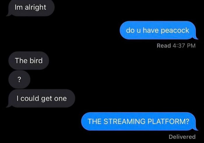 A funny text exchange about Peacock the bird versus Peacock the streaming platform, a reason to laugh today.