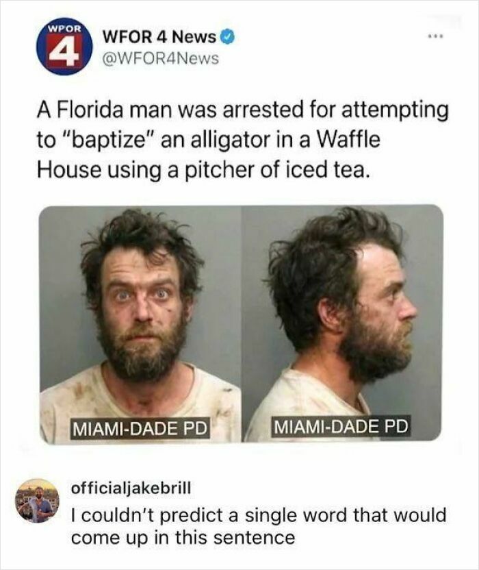 Mugshot of a disheveled man, arrested for trying to baptize an alligator, a meme for your inner goblin.