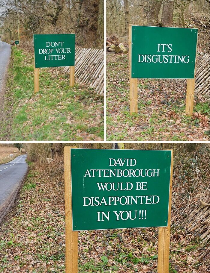 Funny British litter signs warning David Attenborough would be disappointed