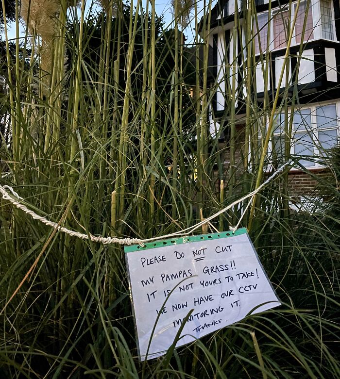 Sign warning not to cut pampas grass with CCTV monitoring notice