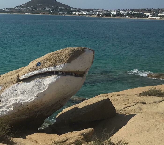 Rock by the sea shaped and painted to resemble a shark showing pareidolia