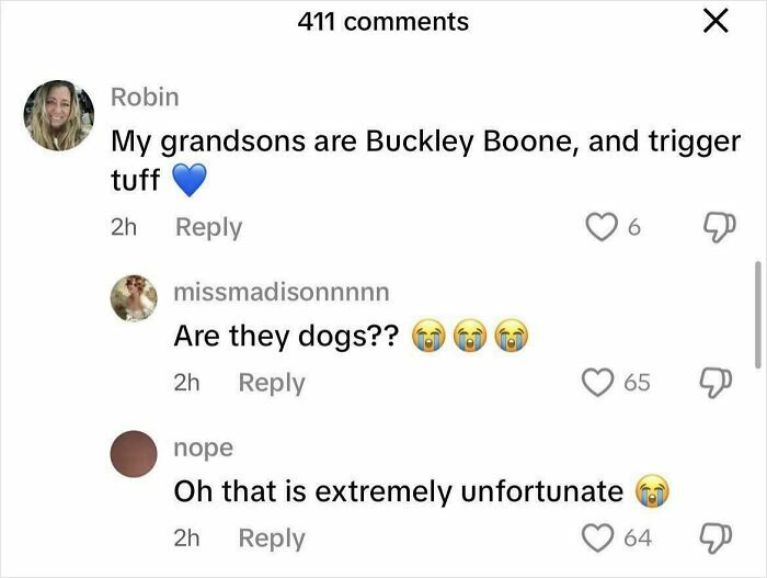 Are They Dogs? Lmao
