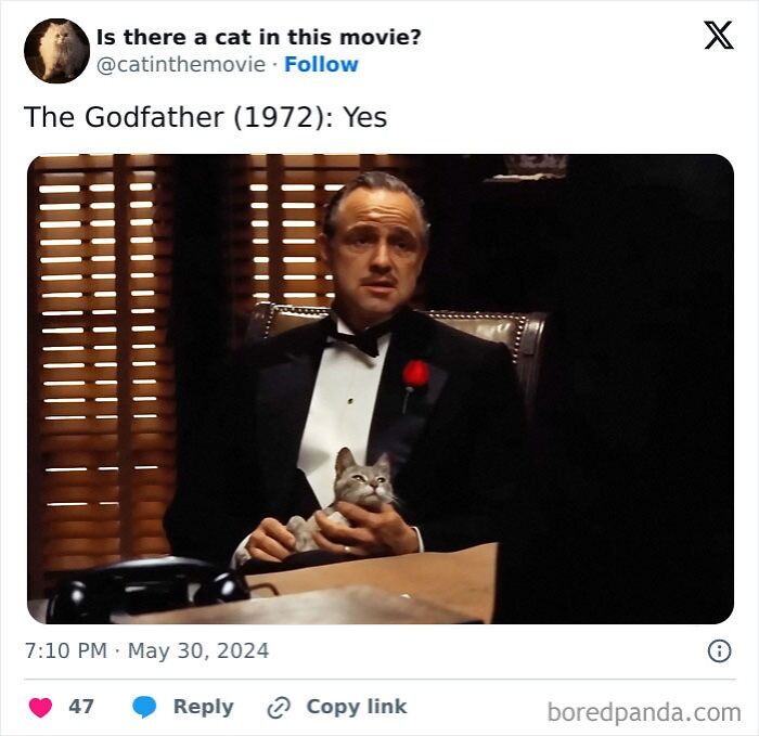 Marlon Brando as Vito Corleone in The Godfather, holding a gray cat. A prominent cat in cinema.