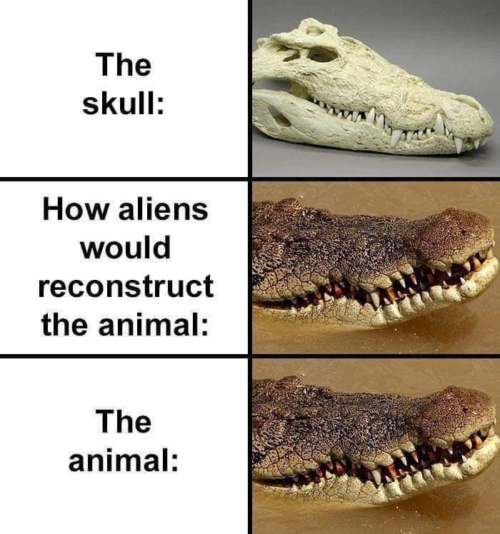 A funny anti-meme shows a crocodile skull, an alien reconstruction of it, and the actual crocodile snout.