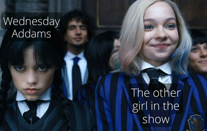 Sorry I Haven't Seen It LOL