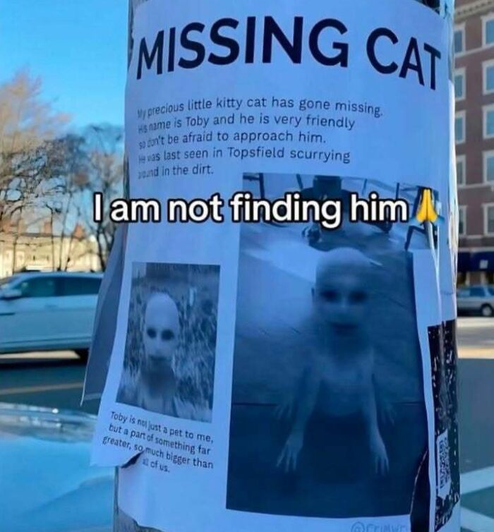An unhinged missing cat poster featuring an unsettling, humanoid creature, making absolutely no sense but is hilarious.