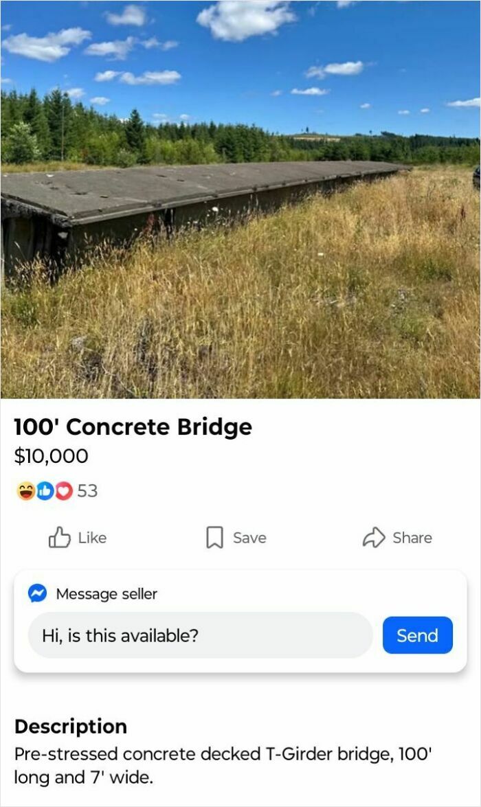 A 100' concrete bridge listed for $10,000 online, highlighting people selling trash for quick money.
