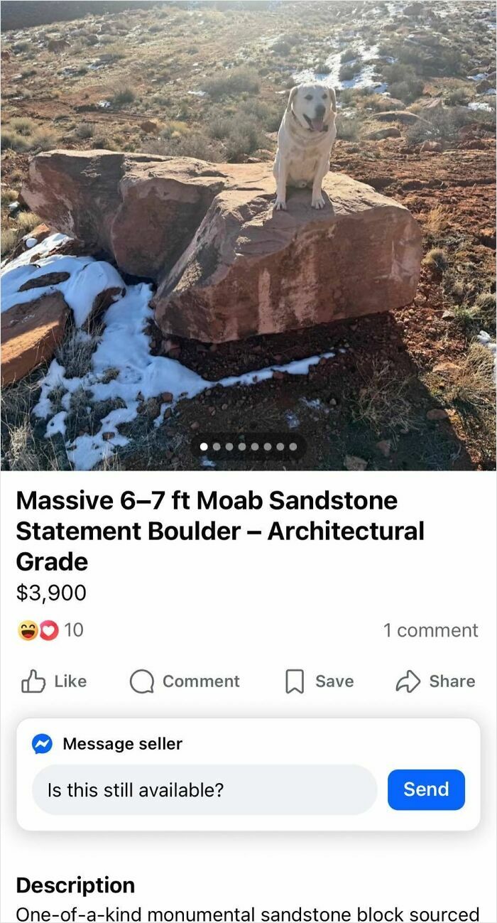 A dog on a massive Moab sandstone boulder for sale, a quick money attempt selling trash for $3,900.