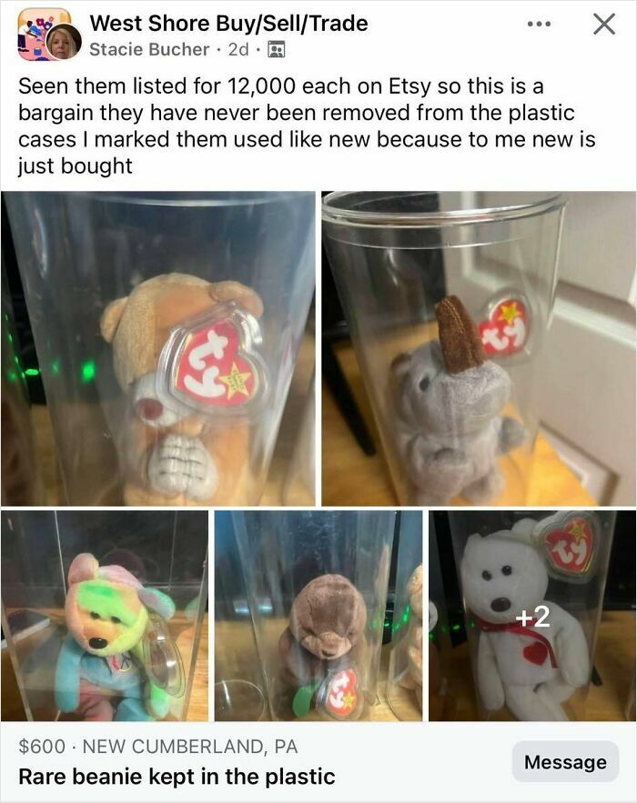 Multiple Beanie Babies in plastic cases, displayed for sale. A case of people trying to earn quick money selling trash.