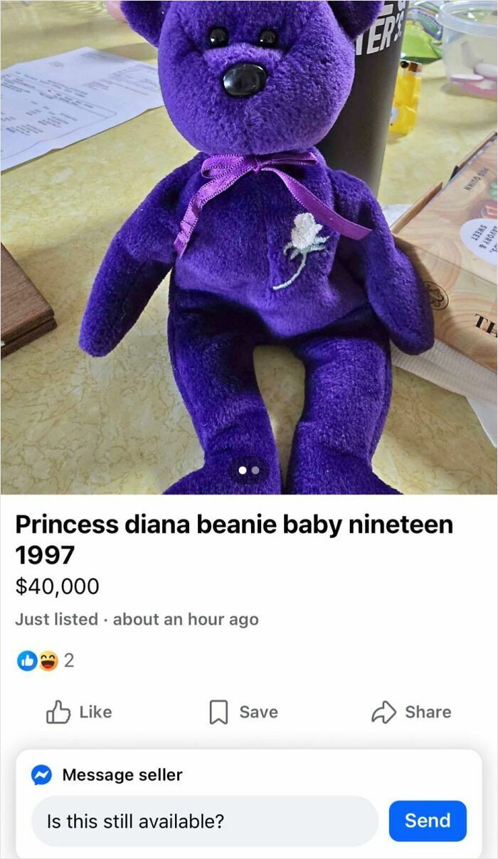 A Princess Diana Beanie Baby for sale for $40,000, illustrating how people hope to earn quick money by selling trash.