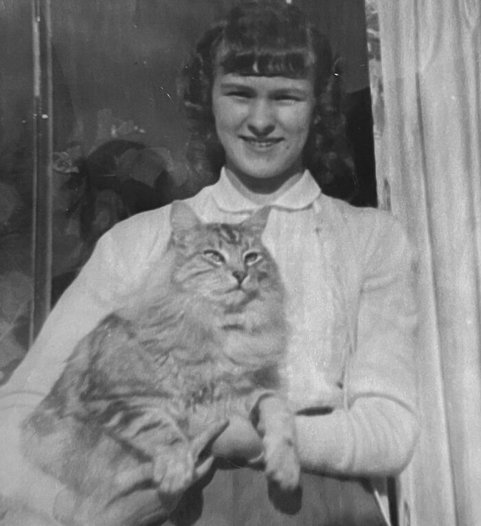 These Charming Vintage Cat Photos Are Taking Over Instagram—and People Can’t Get Enough (30 Pics)