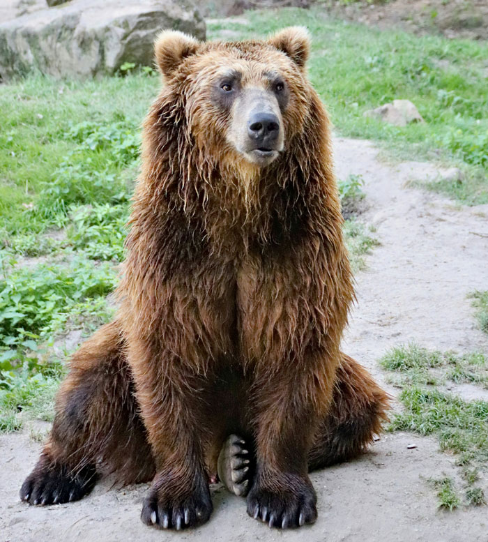 69 Random And Cool Facts People Know That Are Useless But Fun To Share With Friends