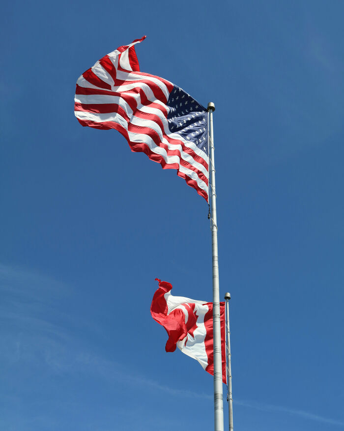 Nova lei que fornece cidadania canadense por apenas US$ 55 divide a Internet