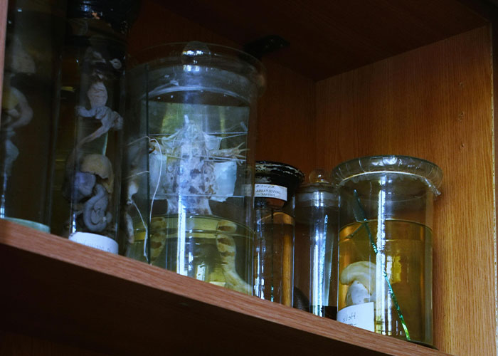 79 Times People Got Exclusive Access To Places And Couldn’t Believe Their Luck