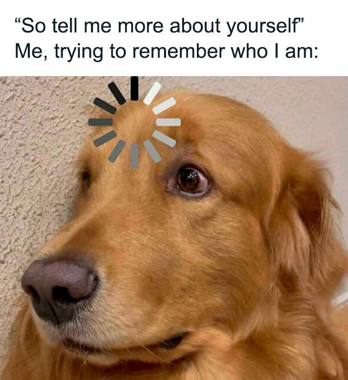 Golden retriever with a loading symbol on its forehead, humorously depicting funny dog memes about memory and identity.
