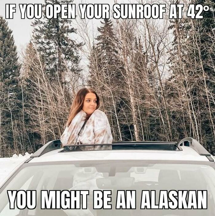 A young woman stands out of a car sunroof in a winter forest, smiling, living in Alaska memes.