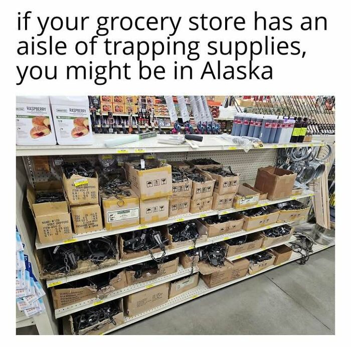 A grocery store aisle stocked with trapping supplies in boxes, showing what it's like living in Alaska. Hilarious memes.