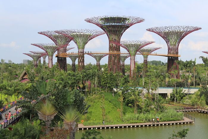 Unbelievable photos of Singapore's Gardens by the Bay, showing futuristic Supertrees that feel like glimpses into another universe.