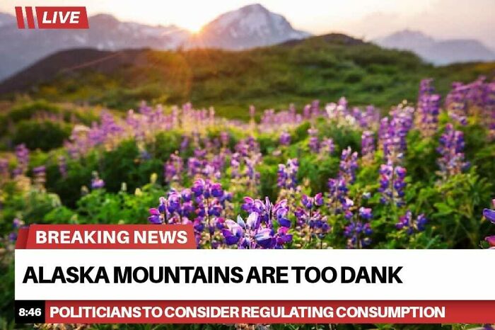 A meme showing a beautiful Alaskan landscape with purple wildflowers, mountains, and sunset, overlaid with humorous news text about Alaska mountains.