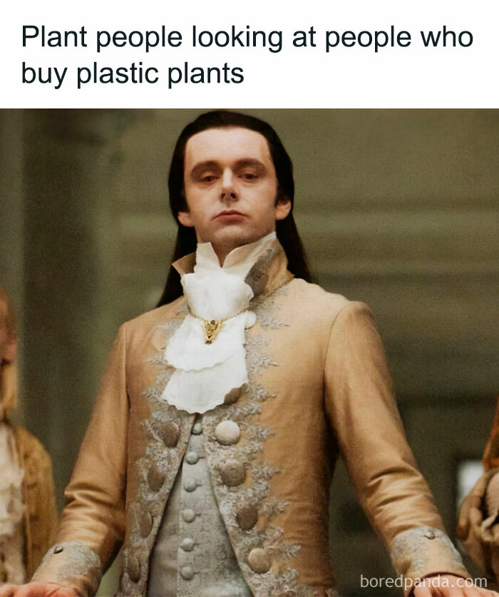 Meme showing a man in period costume looking disapprovingly, captioned Plant people looking at people who buy plastic plants. Crazy plant parent humor.