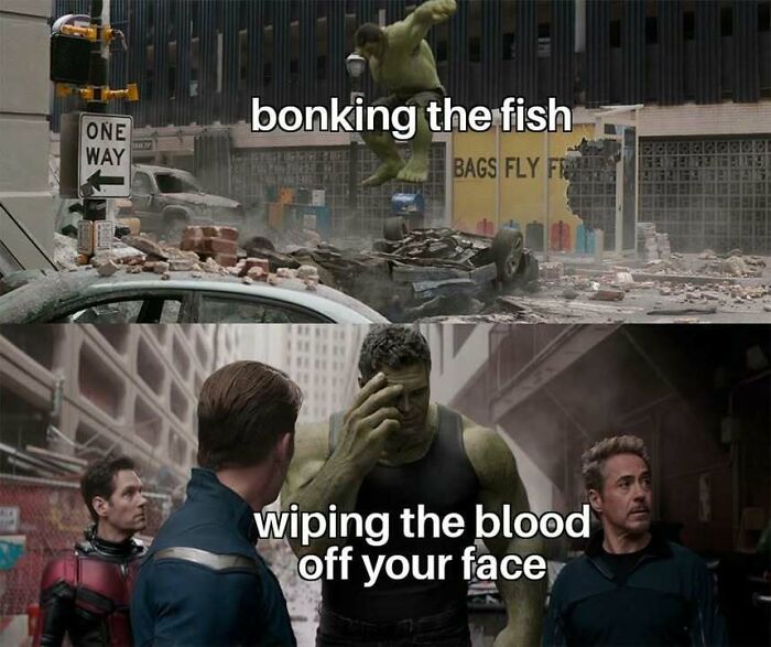 A hilarious meme portraying living in Alaska, with Hulk jumping to "bonk the fish" and later wiping blood from his face.