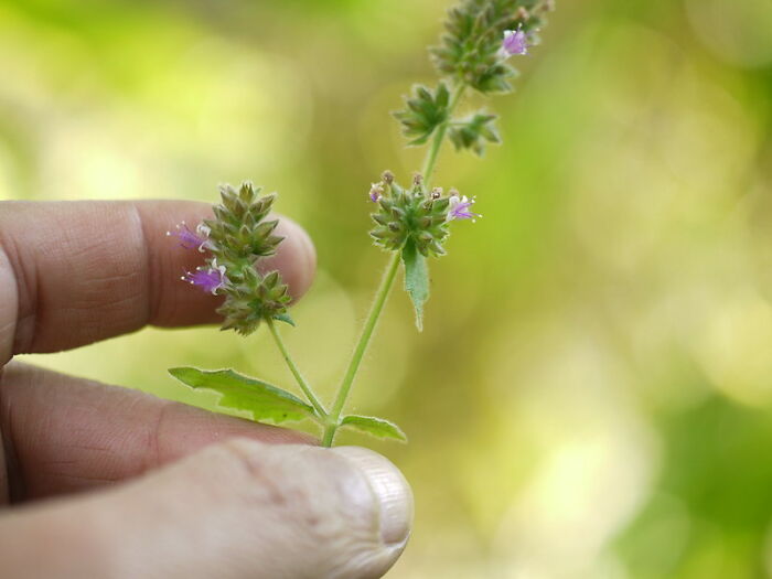 “They Thought I Was Crazy”: 77 Creepy Incidents That Made People Believe In The Paranormal