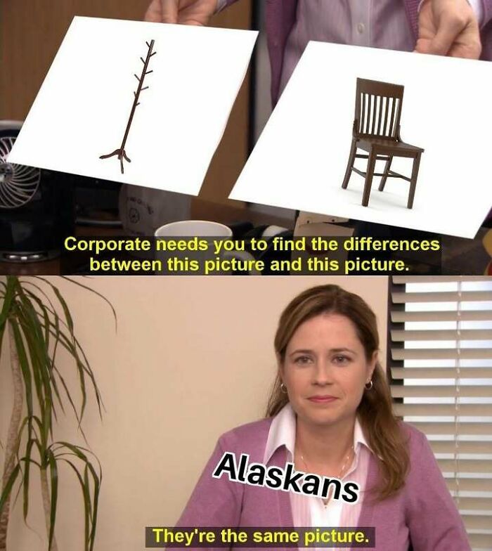 A meme with Pam from The Office, showing two pictures: a coat rack and a chair. Text reads "Alaskans: They're the same picture," relating to Alaska memes.