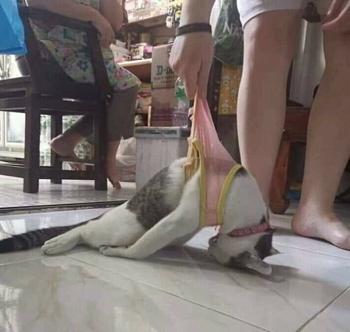 These Heartwarming Animal Photos Show The Beautiful Bond Between Animals And Humans (31 New Pics)