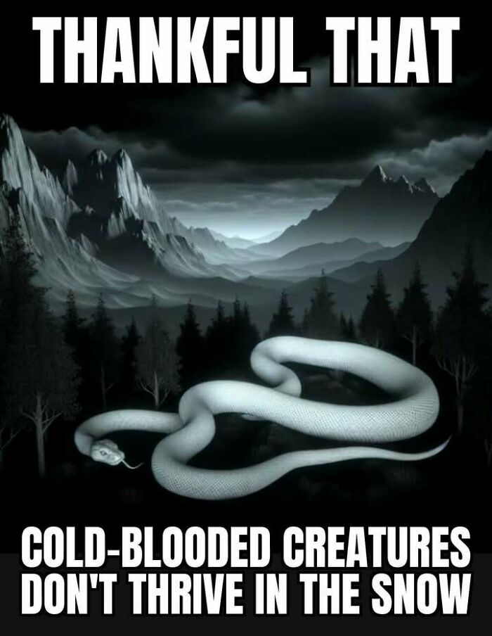 A humorous Alaska meme with text: THANKFUL THAT COLD-BLOODED CREATURES DON'T THRIVE IN THE SNOW.