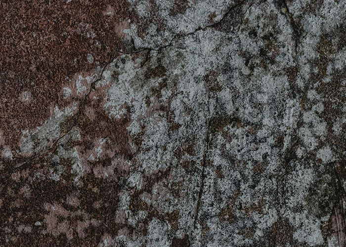 Close-up of a weathered surface showing rough texture and decay, illustrating dangers that seem harmless at first glance.