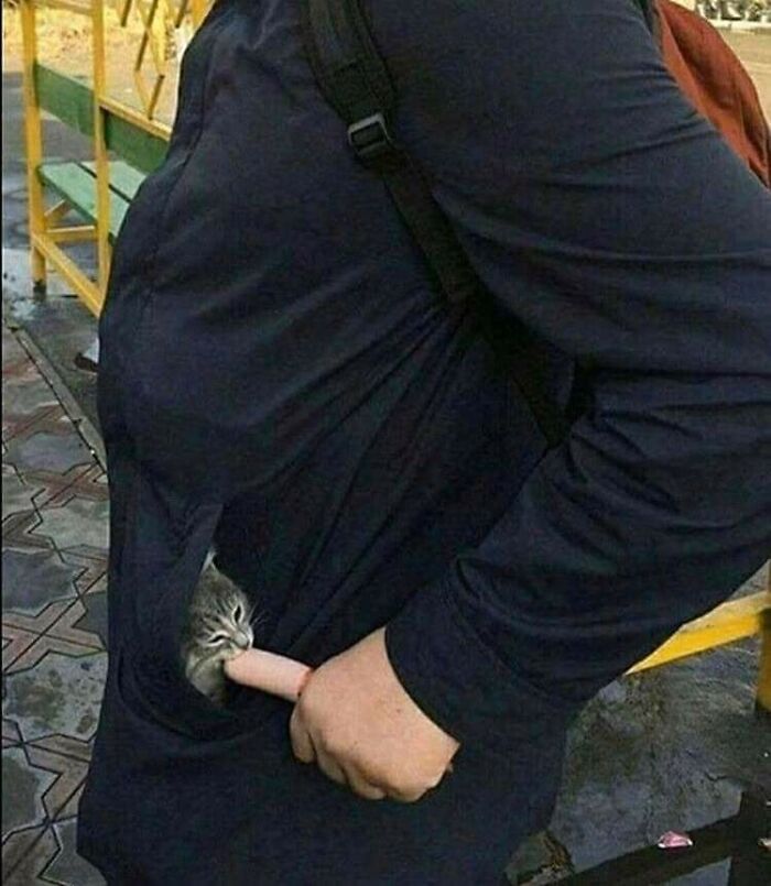 These Heartwarming Animal Photos Show The Beautiful Bond Between Animals And Humans (31 New Pics)