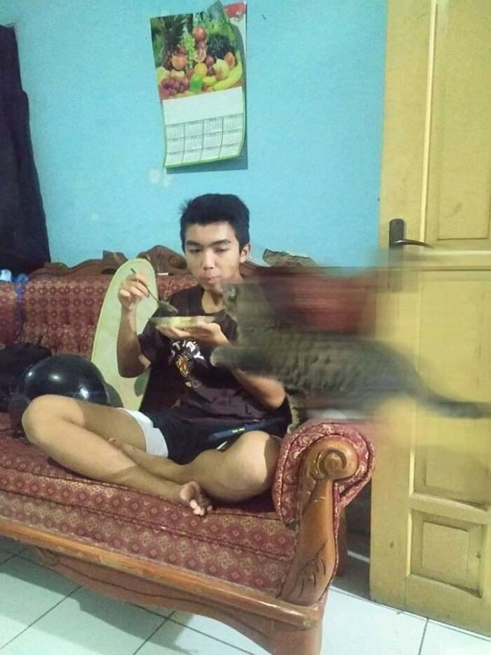 These Heartwarming Animal Photos Show The Beautiful Bond Between Animals And Humans (31 New Pics)