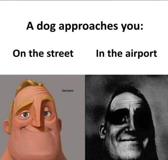 Funny dog meme showing contrasting reactions when a dog approaches on the street versus in the airport, featuring mischievous dog humor.