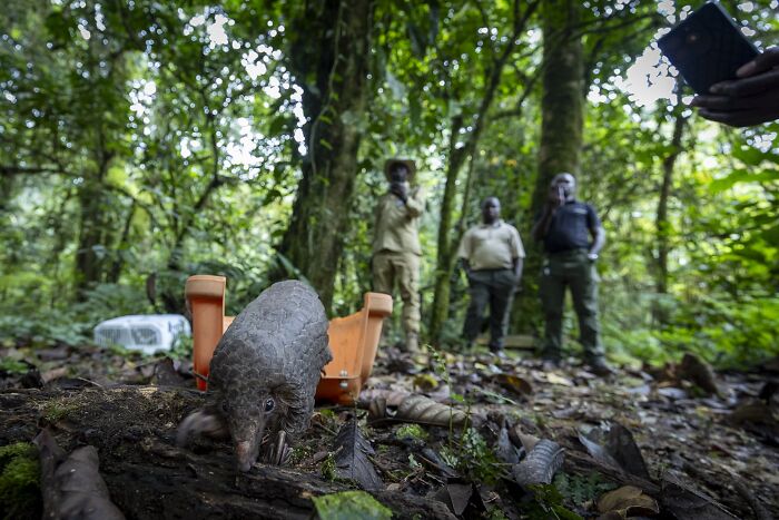 Sharing The Planet, Finalist: A Pang Of Hope By Charlotte Keast