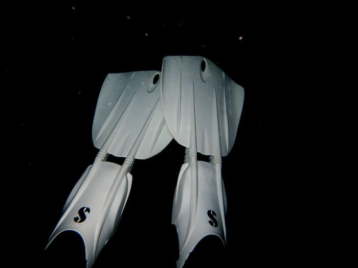 Two white scuba fins against a dark background, evoking the vastness of water pics that make you feel small.