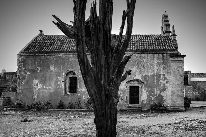 “Time Guard” By Barbara Nichtern