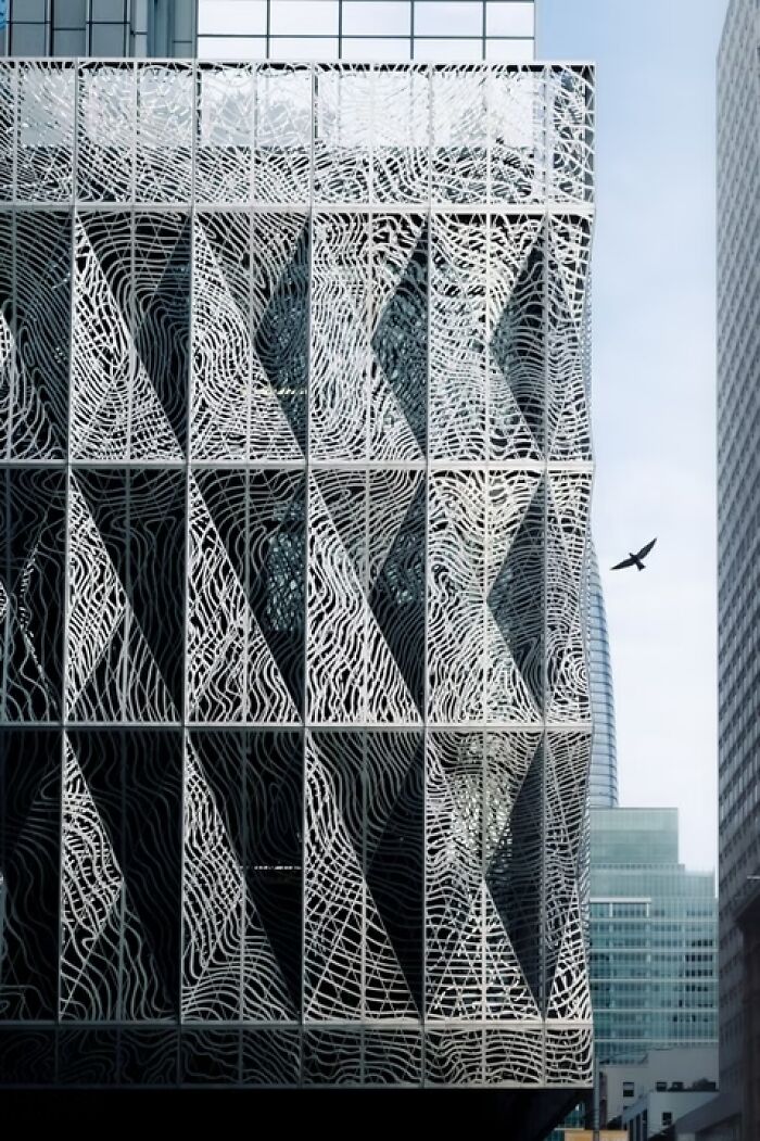 “Sculpted Light” By Jess Chen