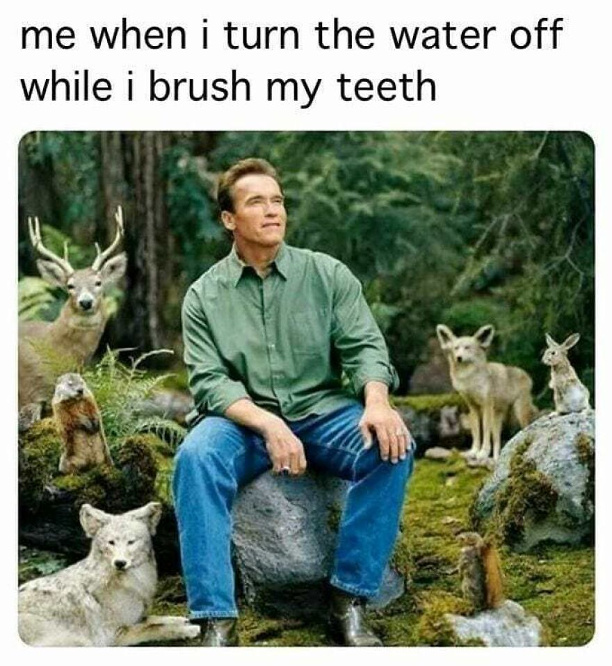 Man sitting on rock surrounded by forest animals, illustrating conserving water while brushing teeth outdoor camping meme.