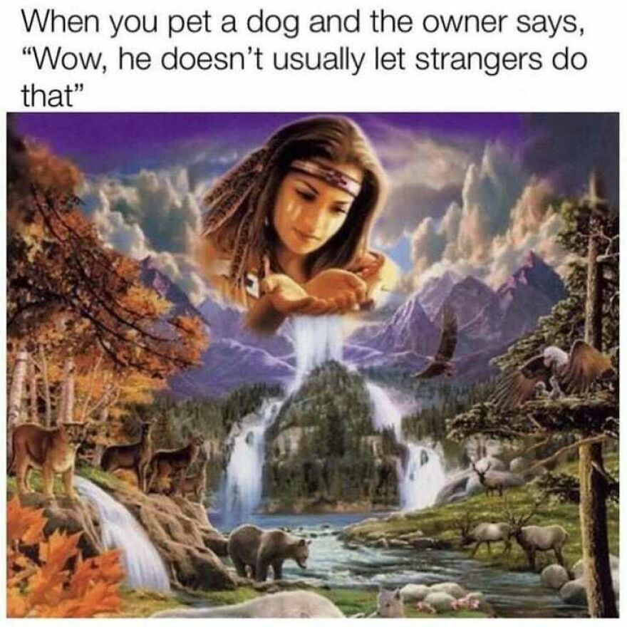 Woman with braided hair pouring water over a nature scene with animals, representing camping and hiking memes about nature connection.