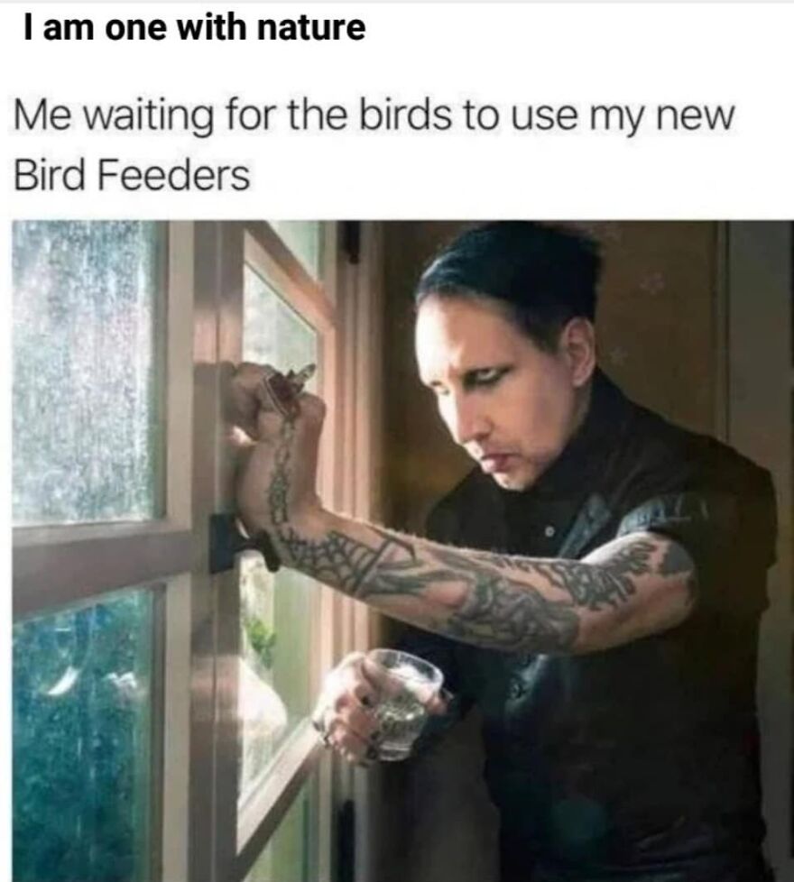 Person with tattoos waiting by a window for birds to visit new bird feeders, reflecting camping and hiking memes about nature.