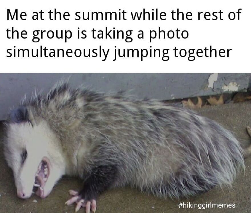 Tired opossum lying on the ground with hiking camping memes text about summit photo moments.
