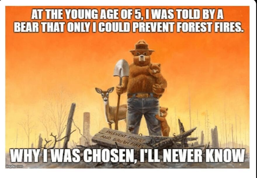Bear mascot holding shovel with two cubs and deer in burned forest, a camping and hiking meme about preventing forest fires.
