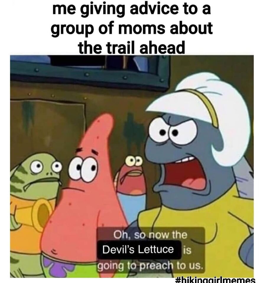 Animated characters from SpongeBob SquarePants humorously discussing trail advice in a camping and hiking meme.
