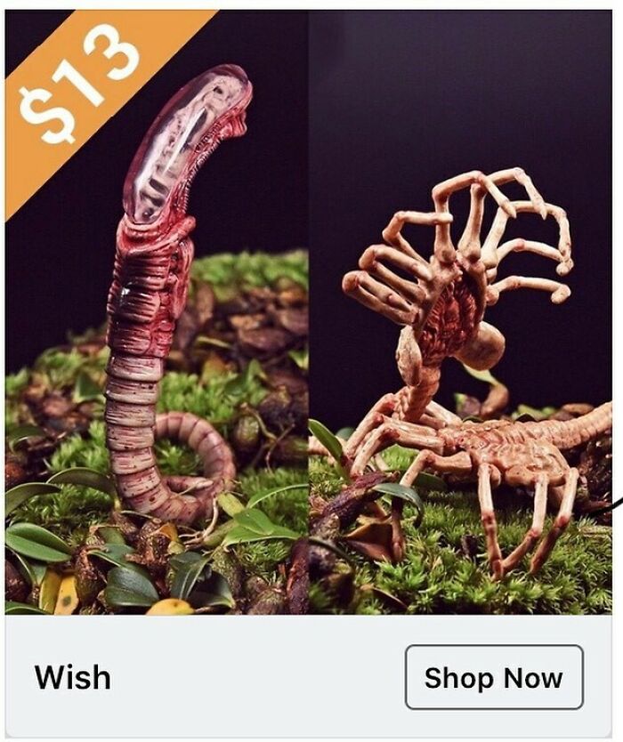 Unbelievable alien creature toys sold on Wish, displayed on mossy ground with detailed textures and $13 price tag.