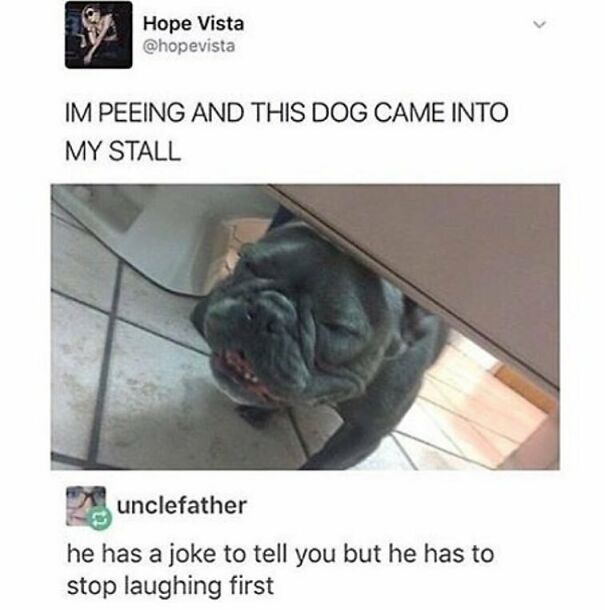 A wholesome post: a dog peeking under a bathroom stall door with a hilarious caption about memes and jokes.