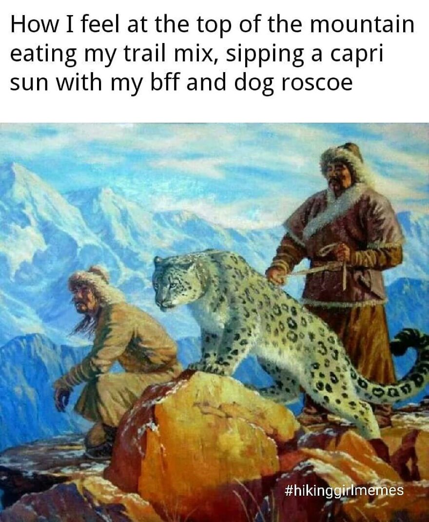 Humorous camping and hiking meme showing hikers with a snow leopard on a mountain peak enjoying nature.