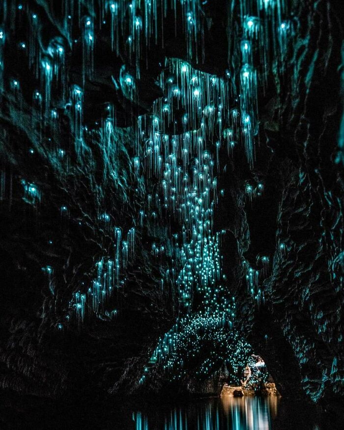 Unbelievable photos of glowing worms illuminating a dark cave, reflecting on water. Glimpses into another universe, on Earth.