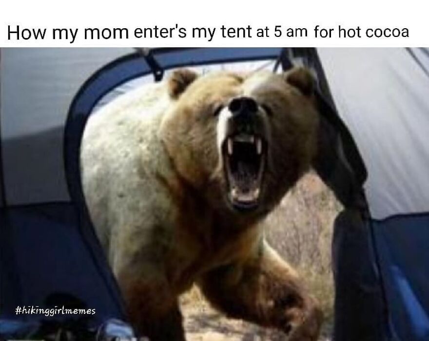 Roaring bear entering a tent early morning, humorous camping and hiking memes capturing nature moments.