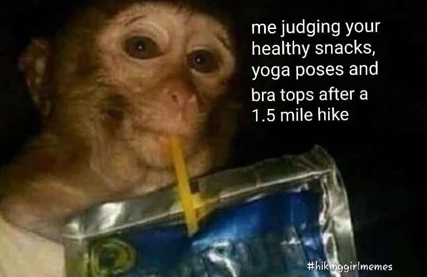 Monkey drinking from a juice pouch with funny hiking meme about judging healthy snacks after a short hike, camping and hiking memes.
